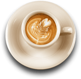 cup 1