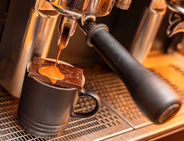 Berg bean coffee rostery launch
